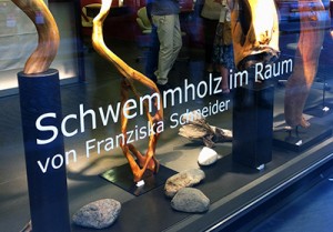 Ramstein Schaufenster, Schwemmholz im Raum, Franziska Schneider