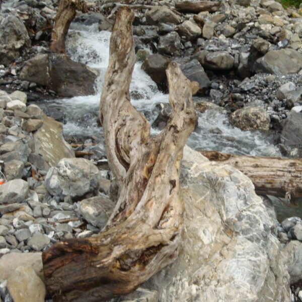 Holzatelier Schneider - gedrechselte Werke & Holzskulpturen aus